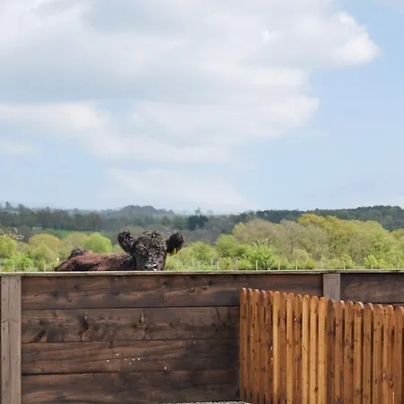 Fell View - Uk43378 Nyaraló Kirklinton