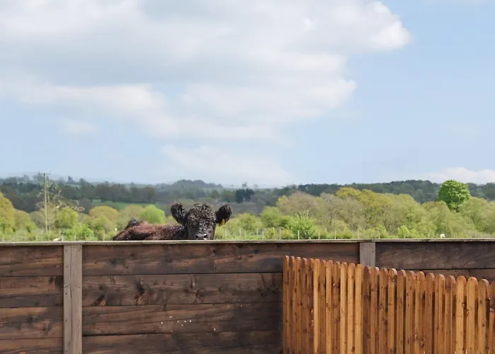 Fell View - Uk43378 Nyaraló Kirklinton